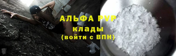 крисы Алзамай